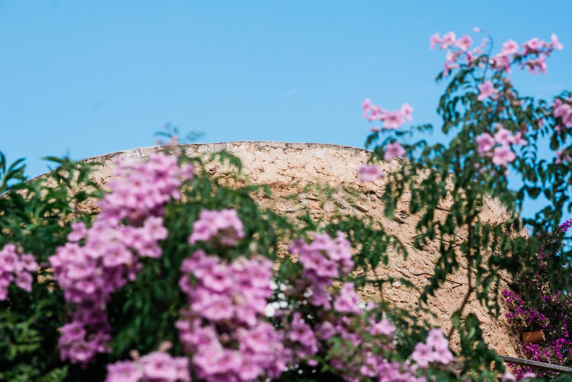Can Quince Balafia Ibiza Hotel - Turismo De Interior サン・リョレンツ・デ・バラフィア エクステリア 写真